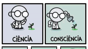Proyecto II: Educación y Evaluación Ambiental